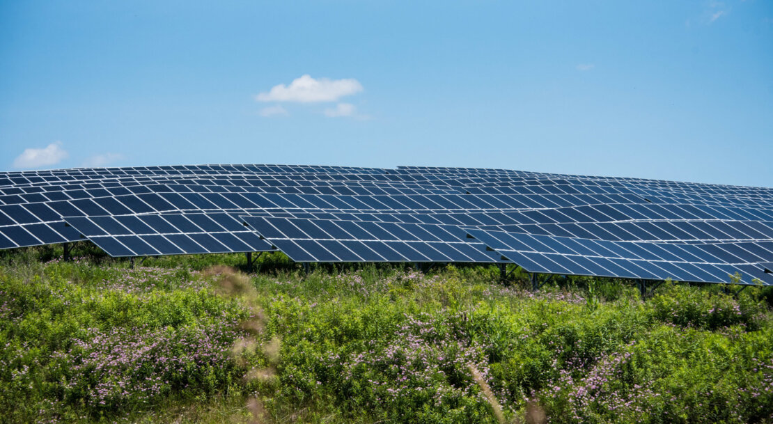 Solar Panel Farm